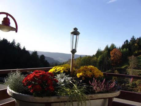 Md Waldhotel Palmspring Bad Peterstal-Griesbach Exteriér fotografie